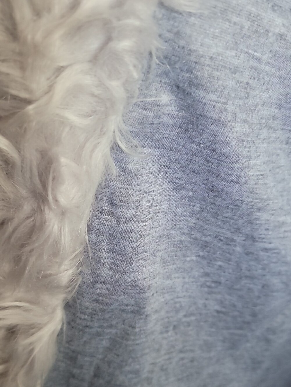 Avec Les Filles Light Gray Teddy Faux Fur Jacket NEW SIZE M SUPER SOFT - Picture 7 of 13